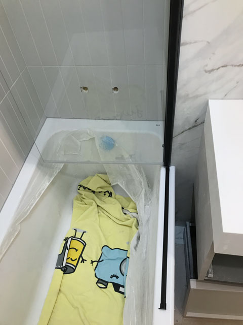 una hoja en negro vista arriba